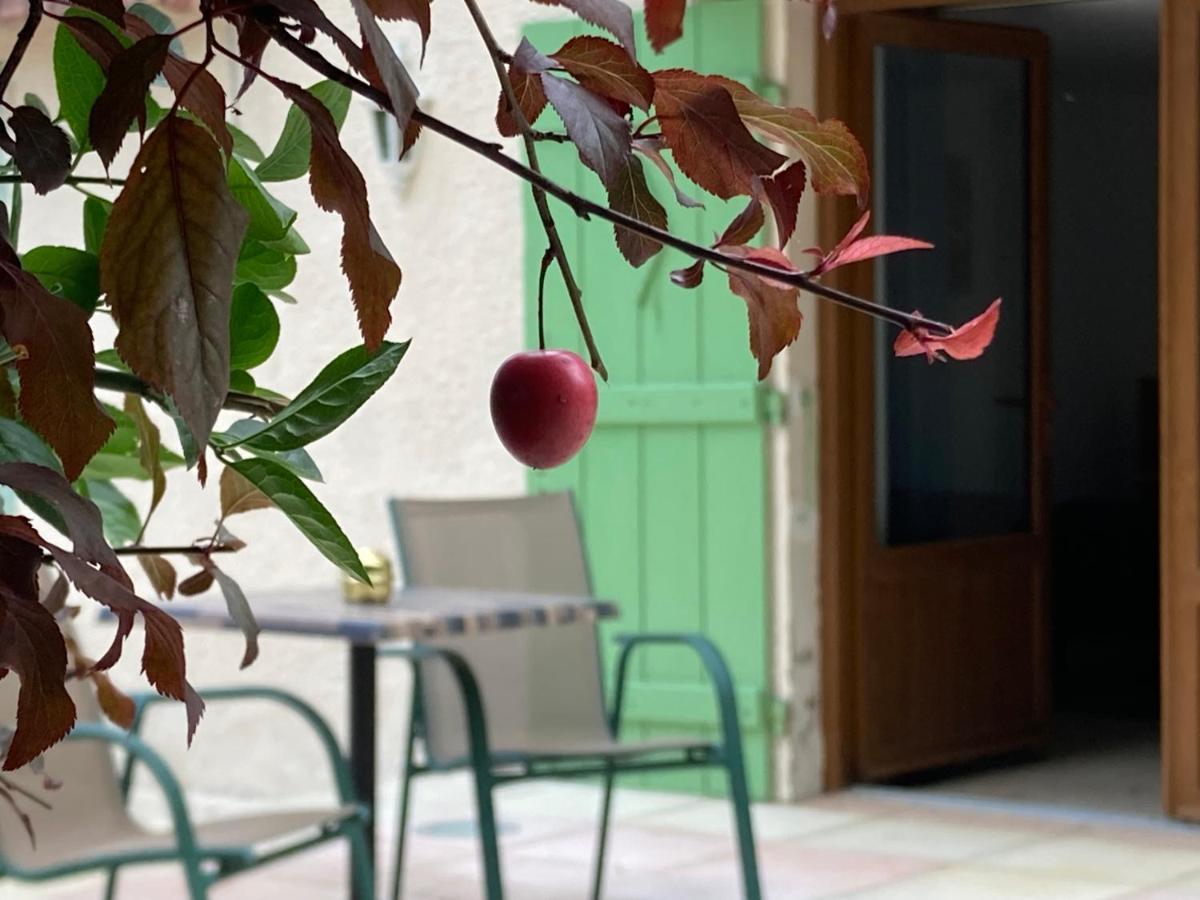 Châteauneuf-du-Rhône Pavillon De L'Etang 아파트 외부 사진